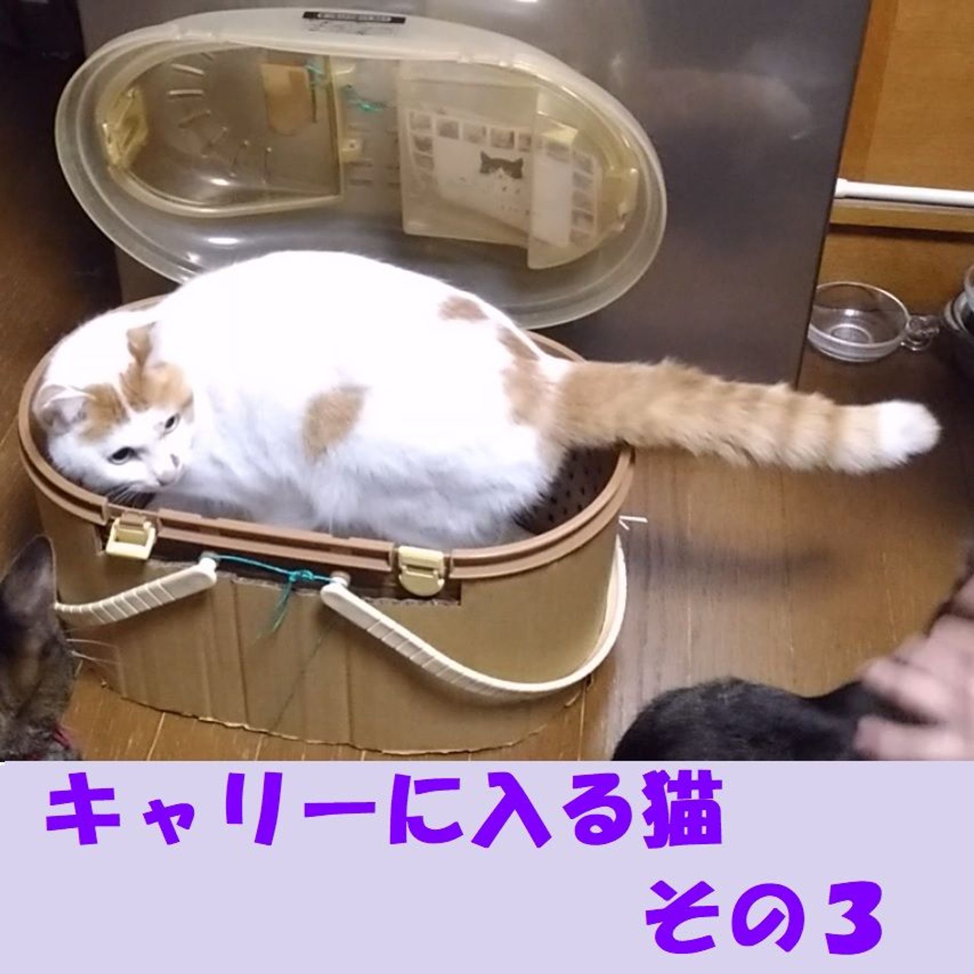 thumbnail-6