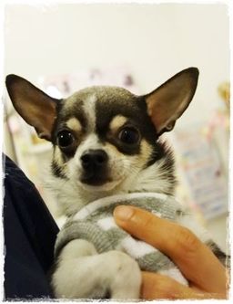 thumb-1