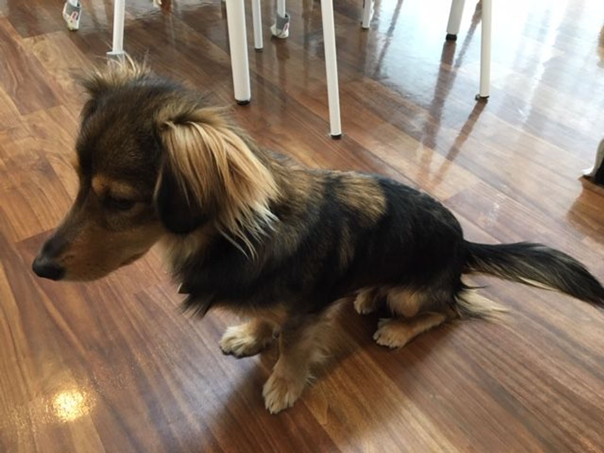thumbnail-4