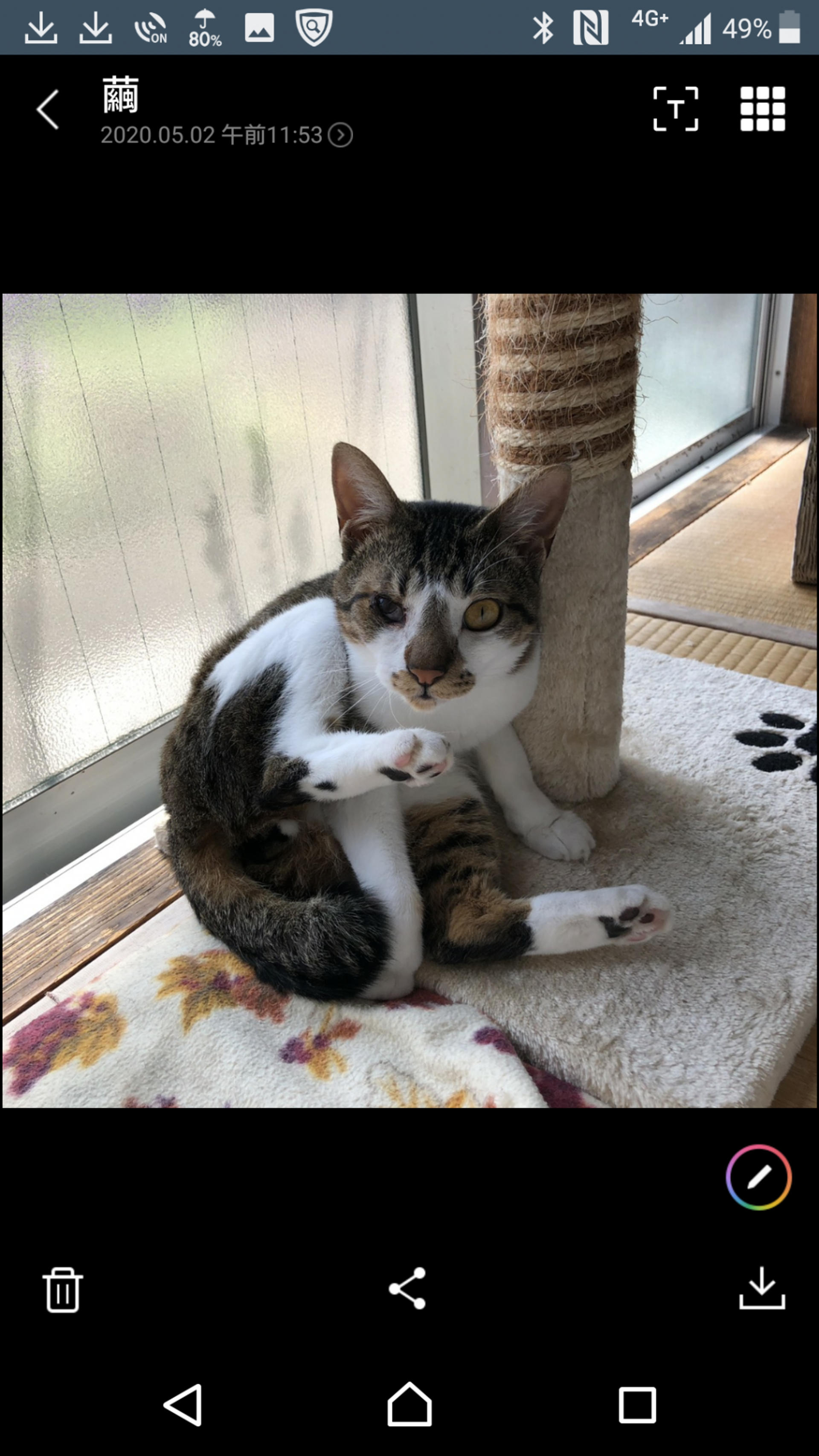 pet-image-3