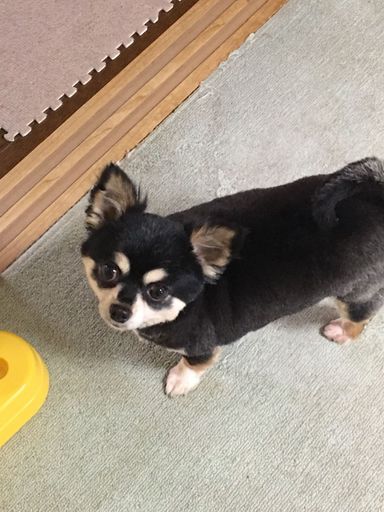 もずくちゃんの写真