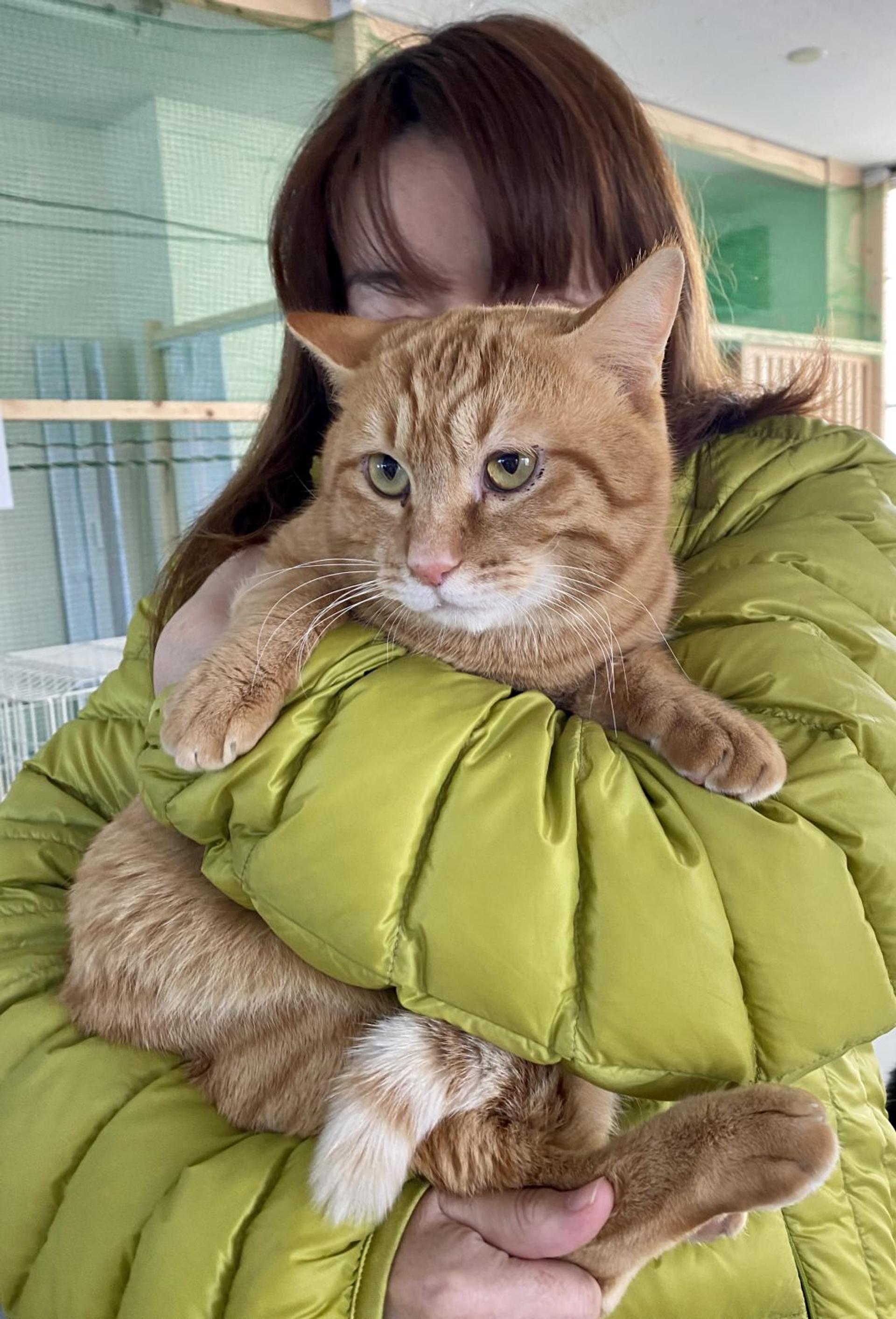 pet-image-5