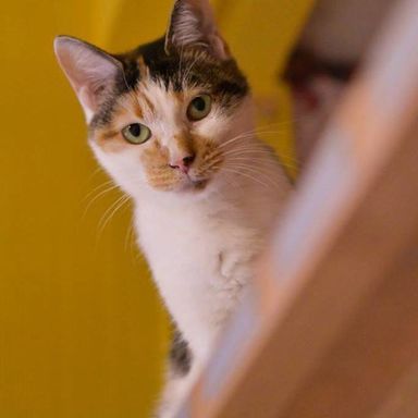 名無しちゃんの写真