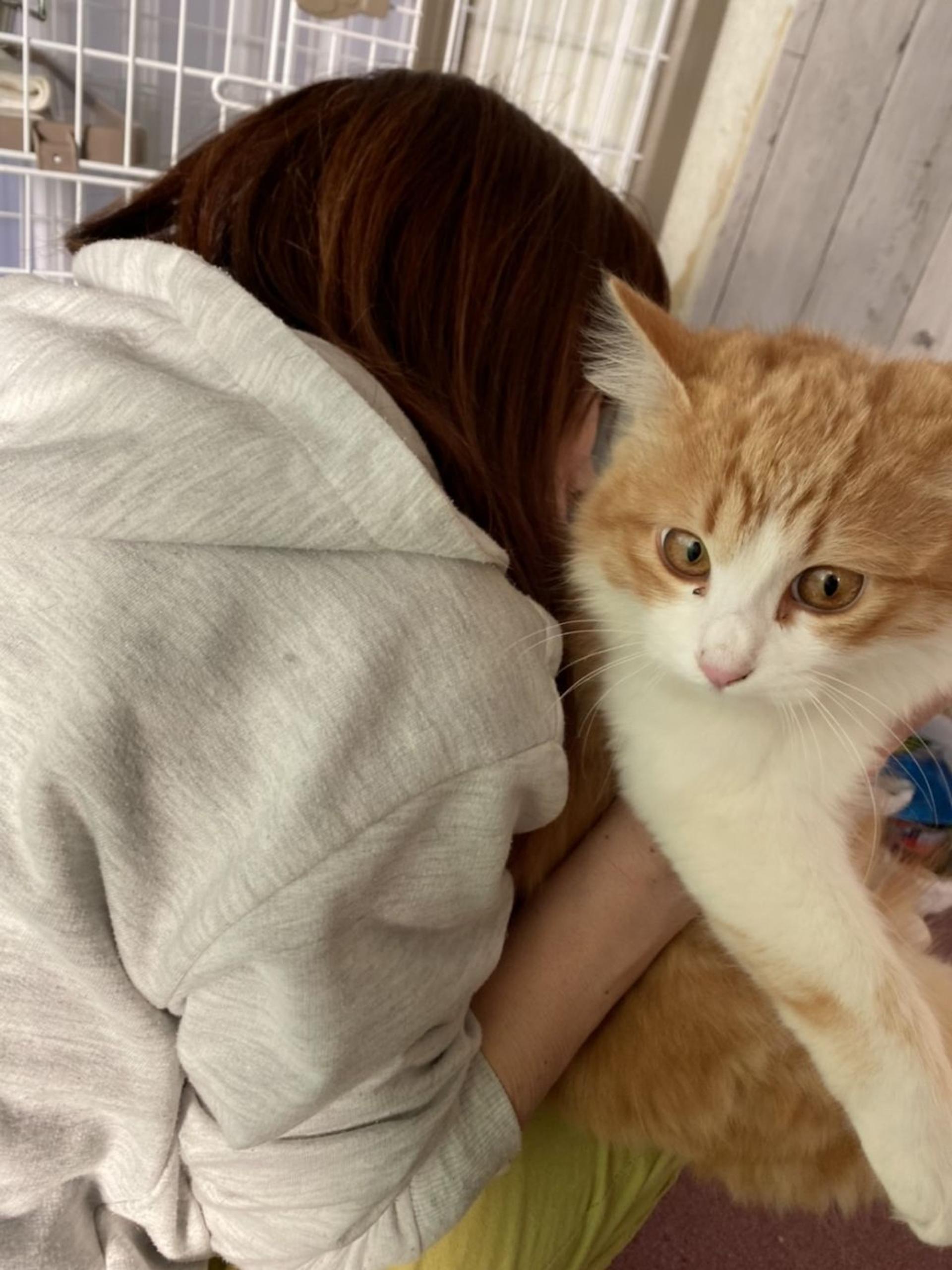 pet-image-3
