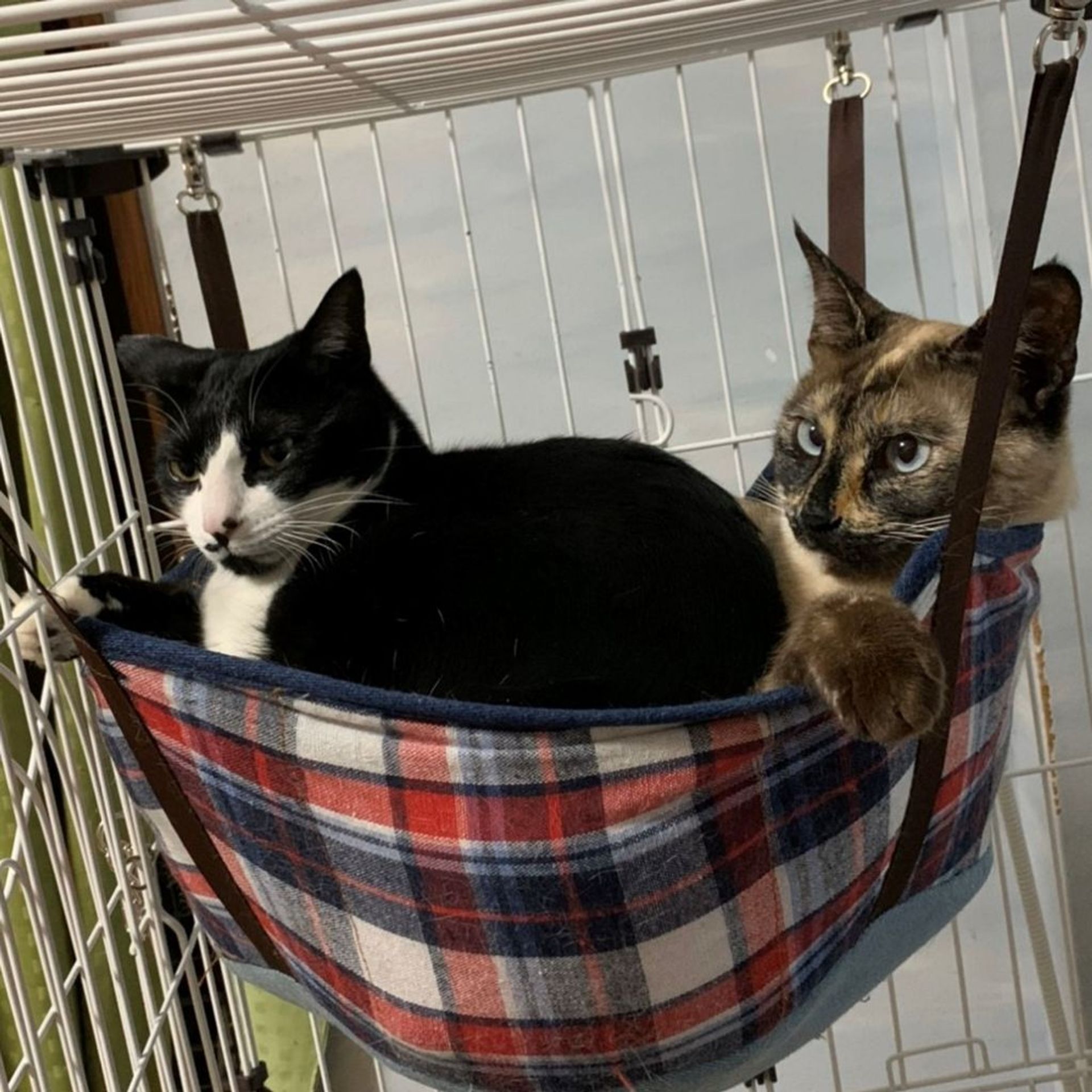 thumbnail-6
