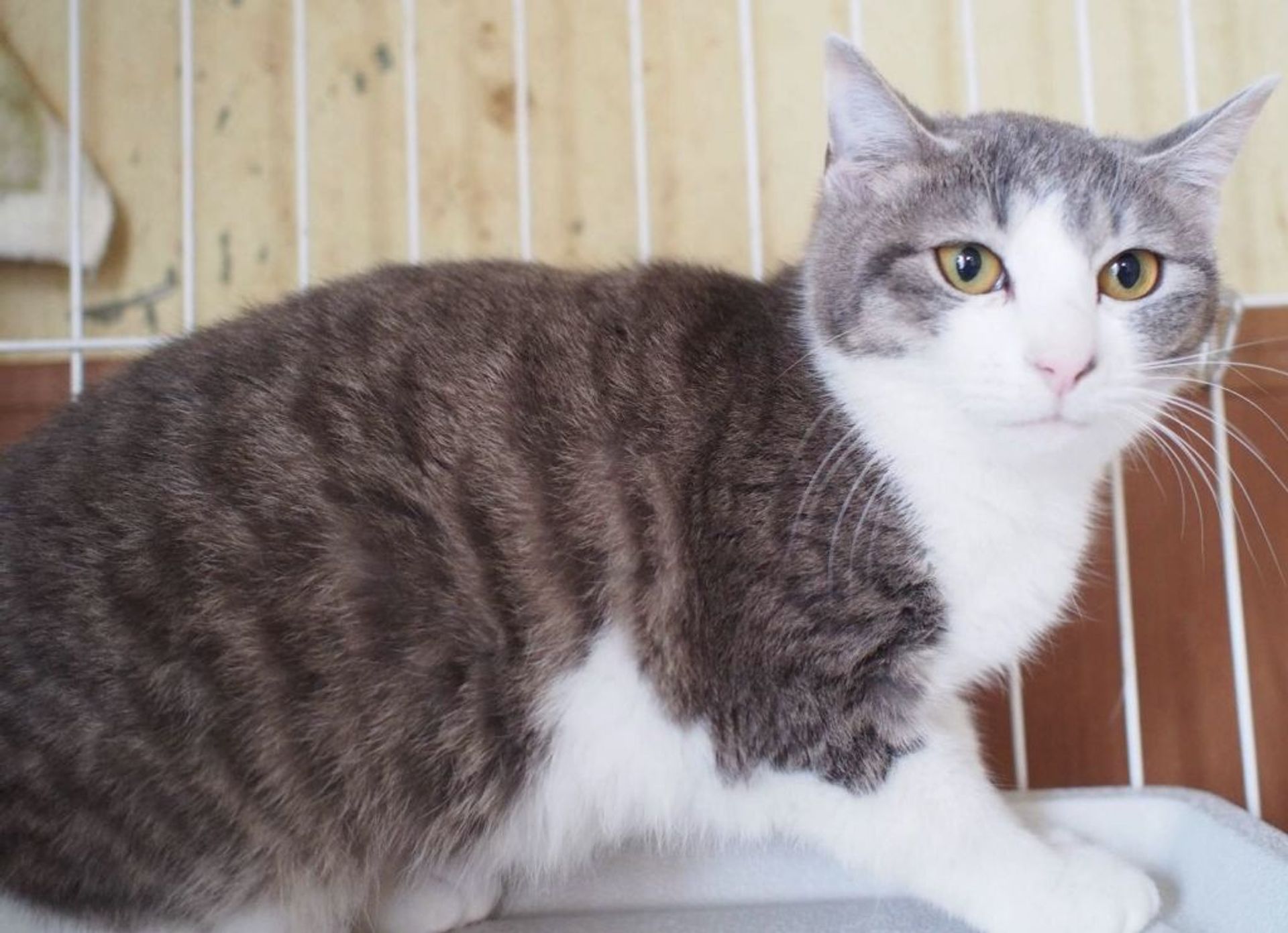 thumbnail-3