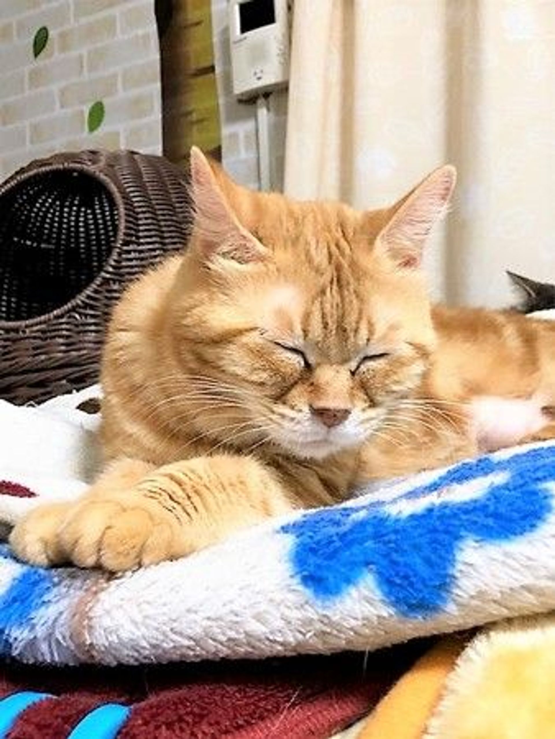 thumbnail-2