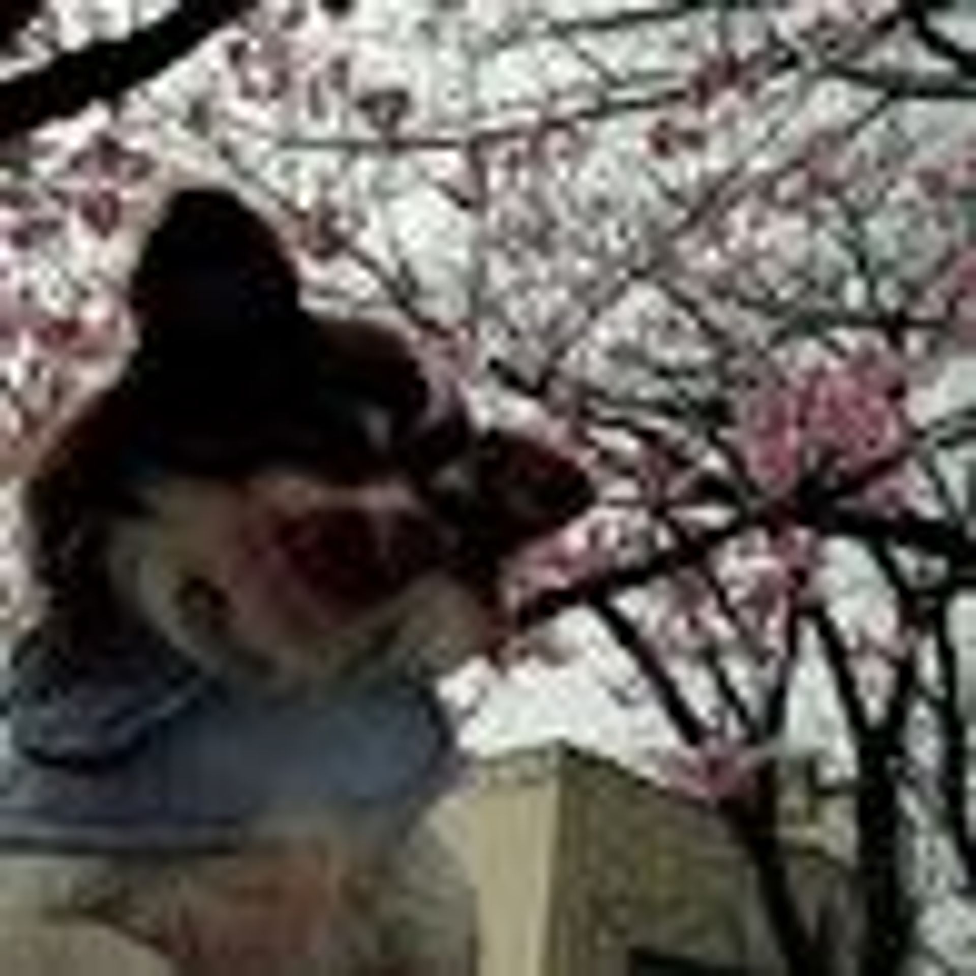 thumbnail-9