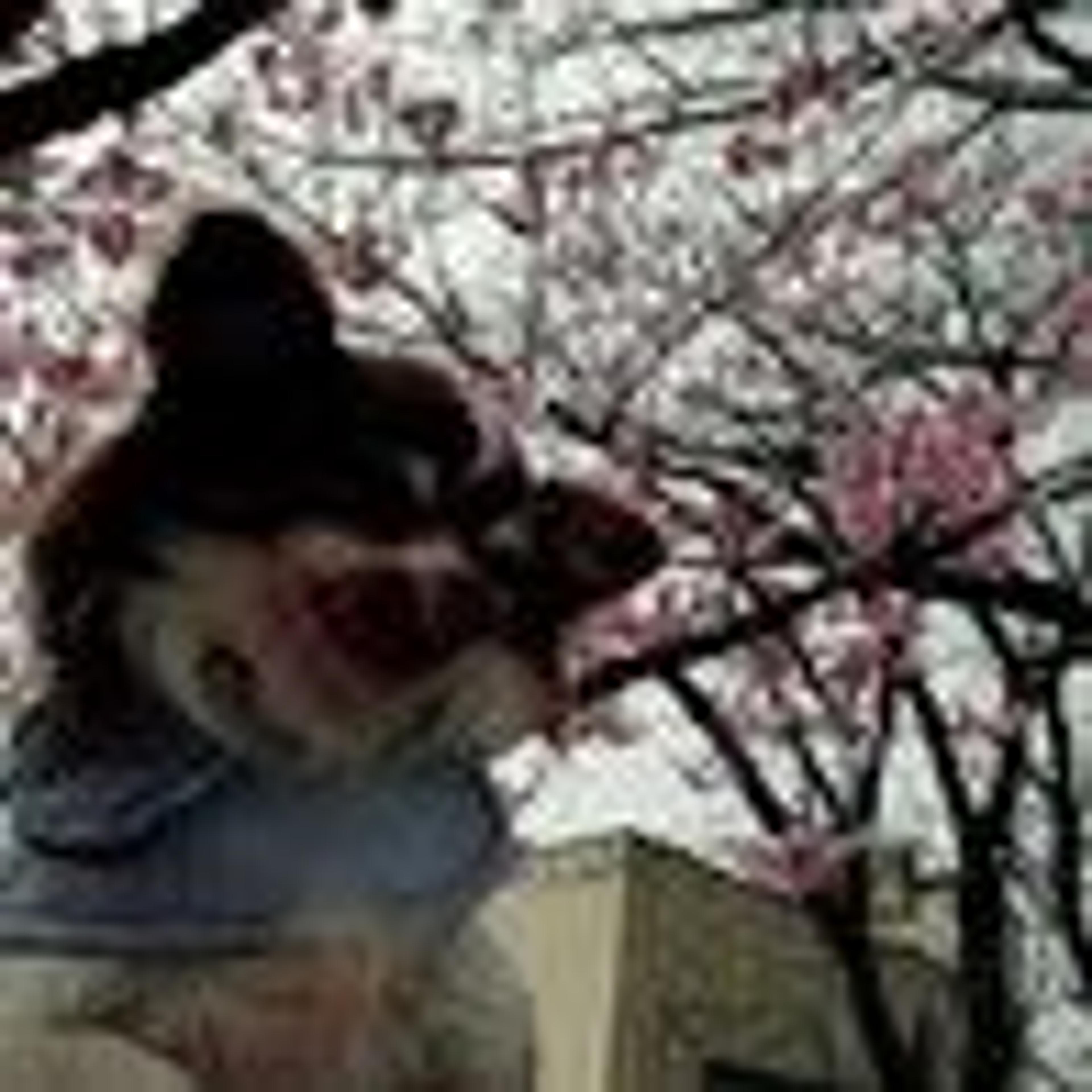 pet-image-9