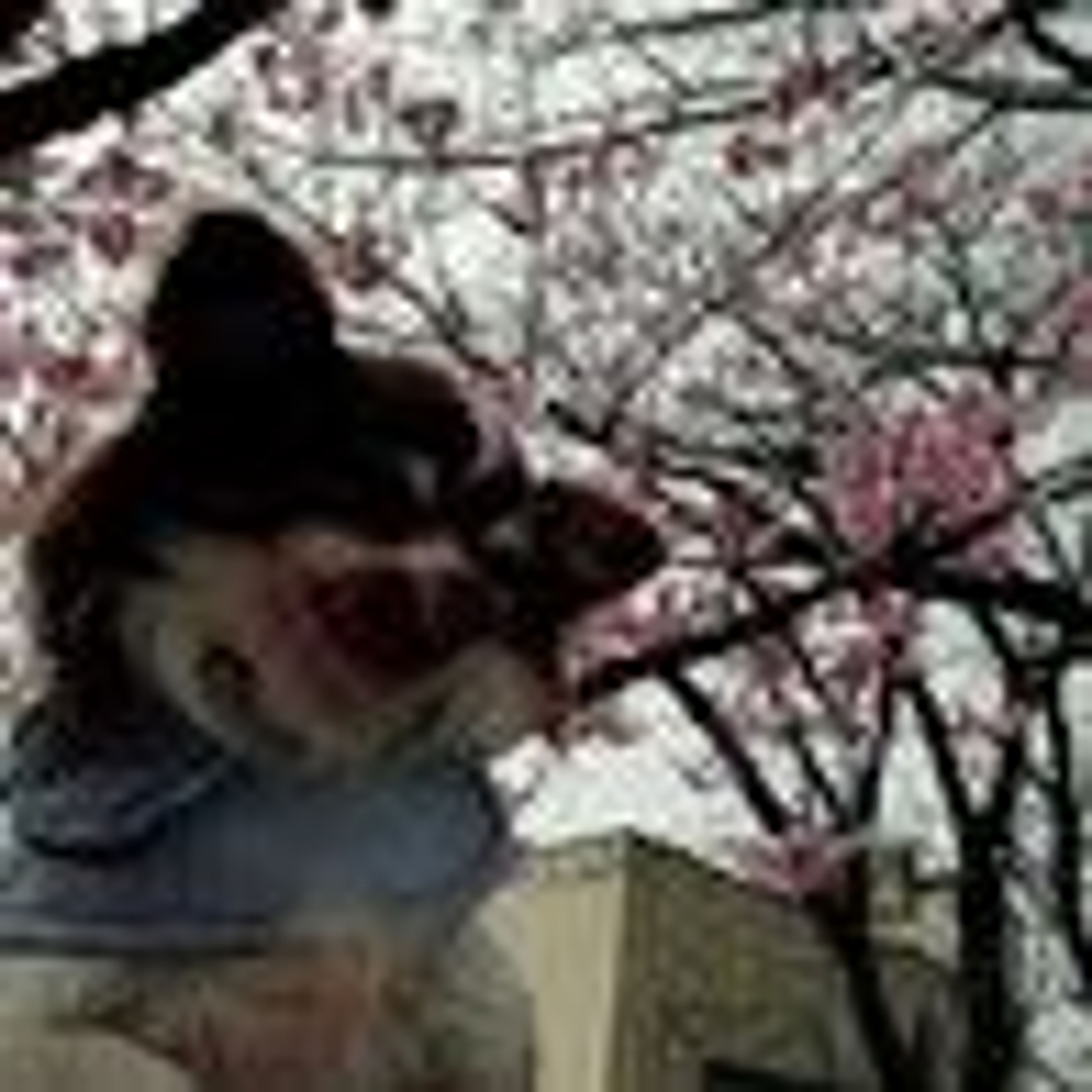pet-image-9