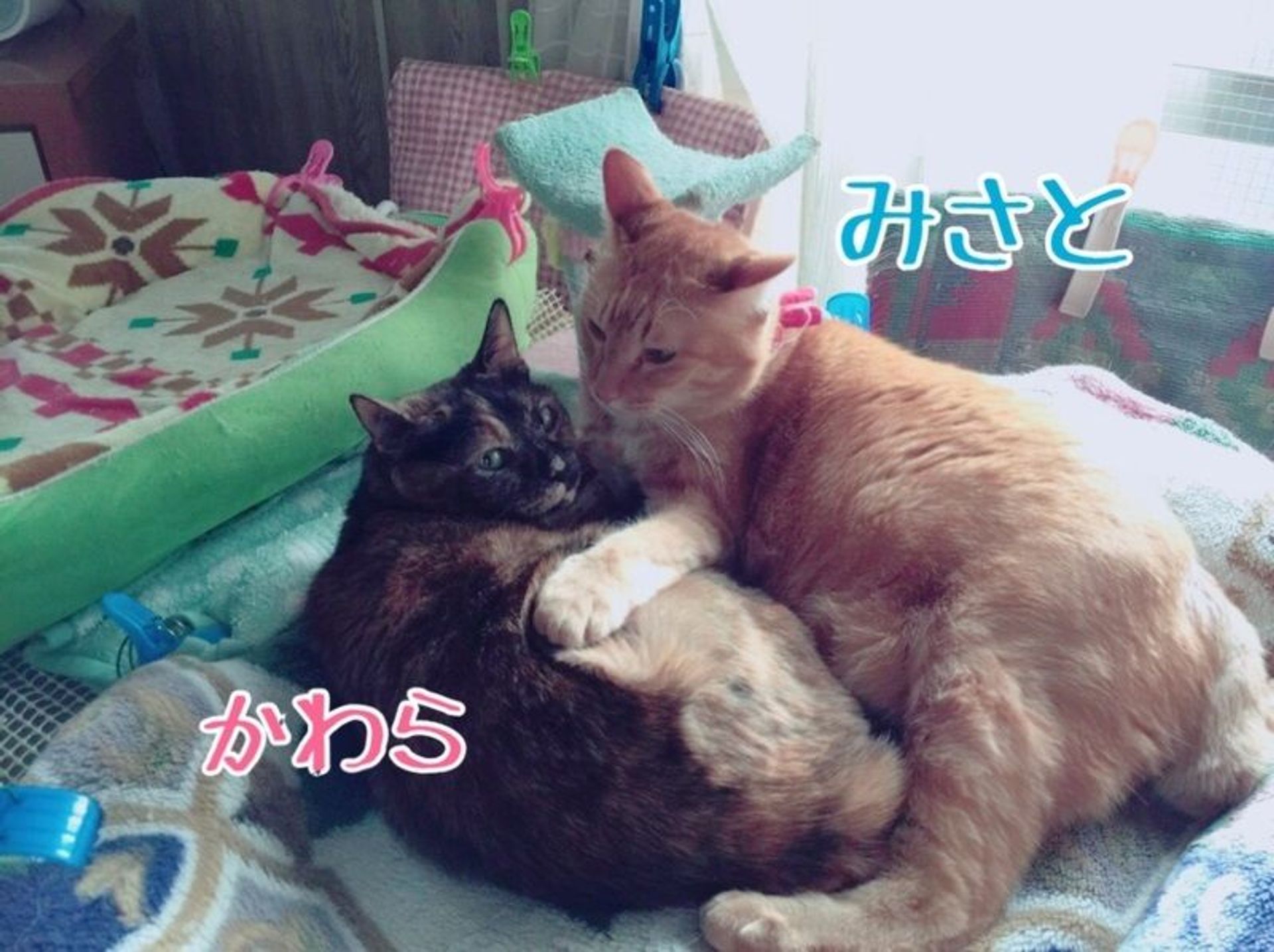thumbnail-8