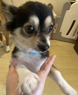 thumb-1