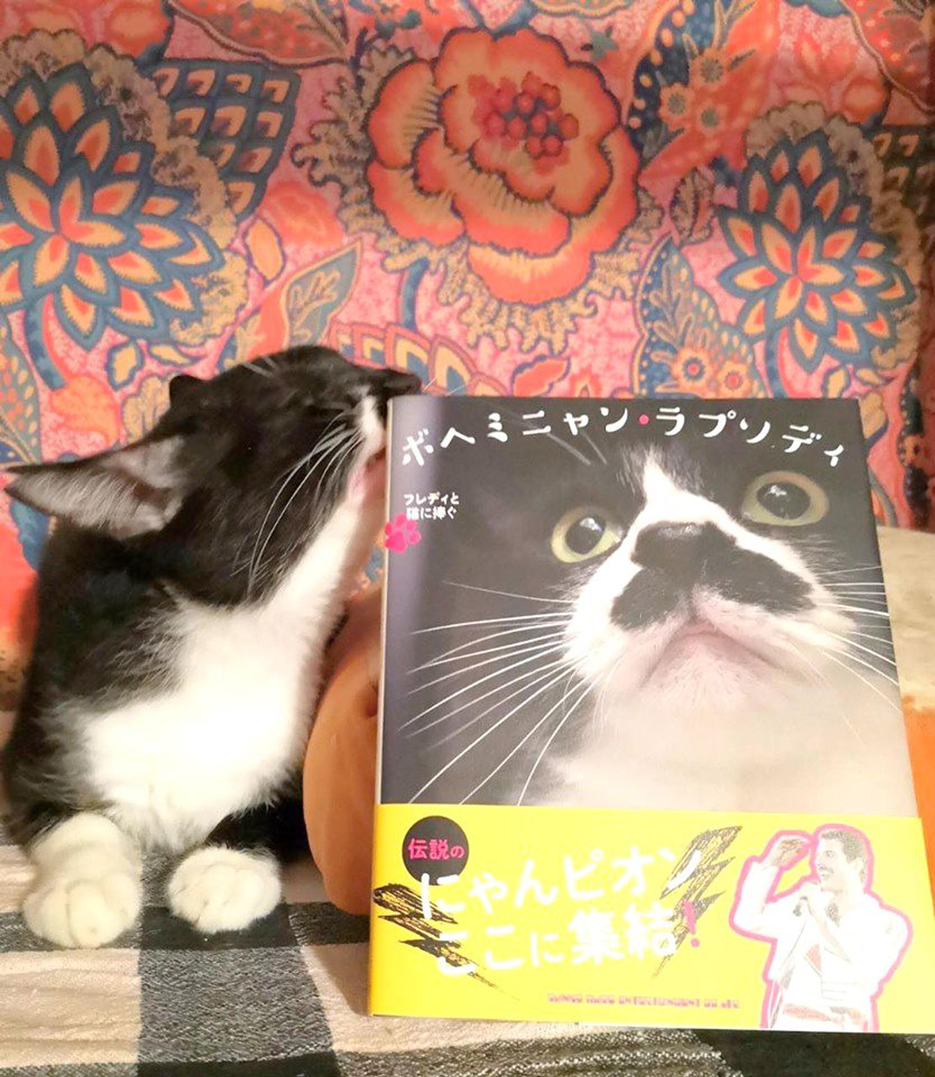 pet-image-5