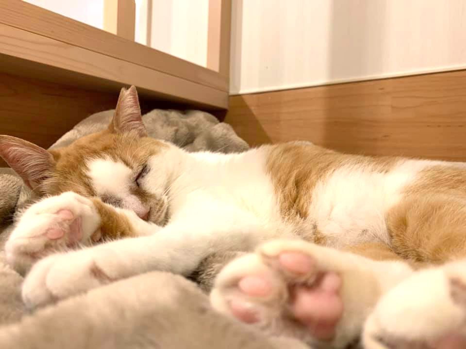 thumbnail-7