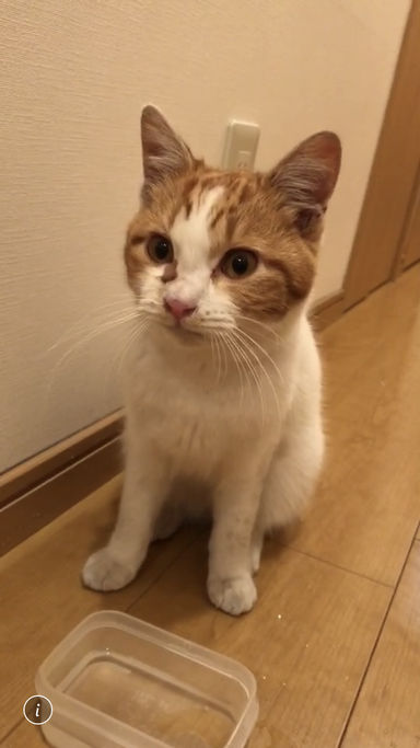 べい