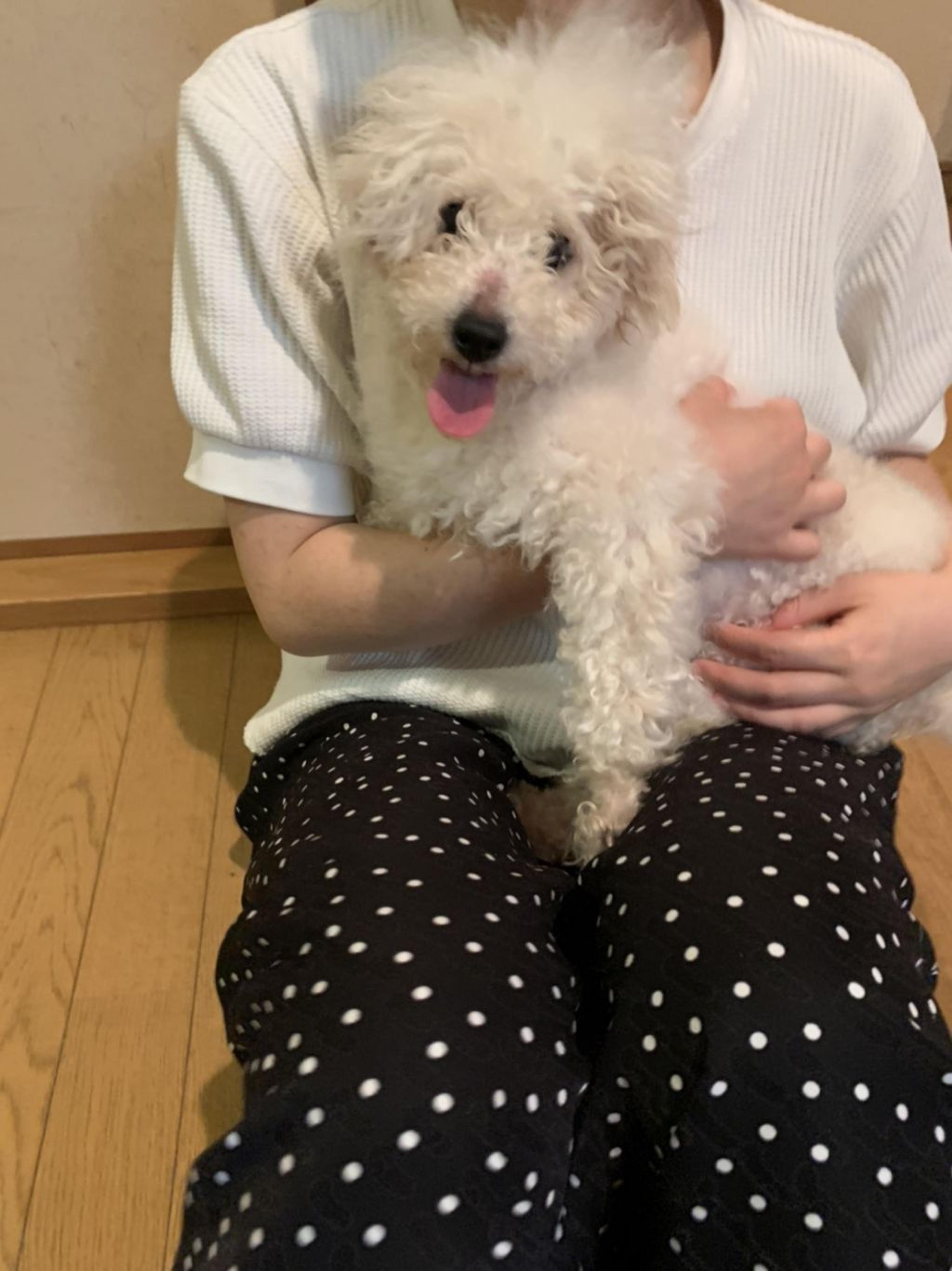 pet-image-10
