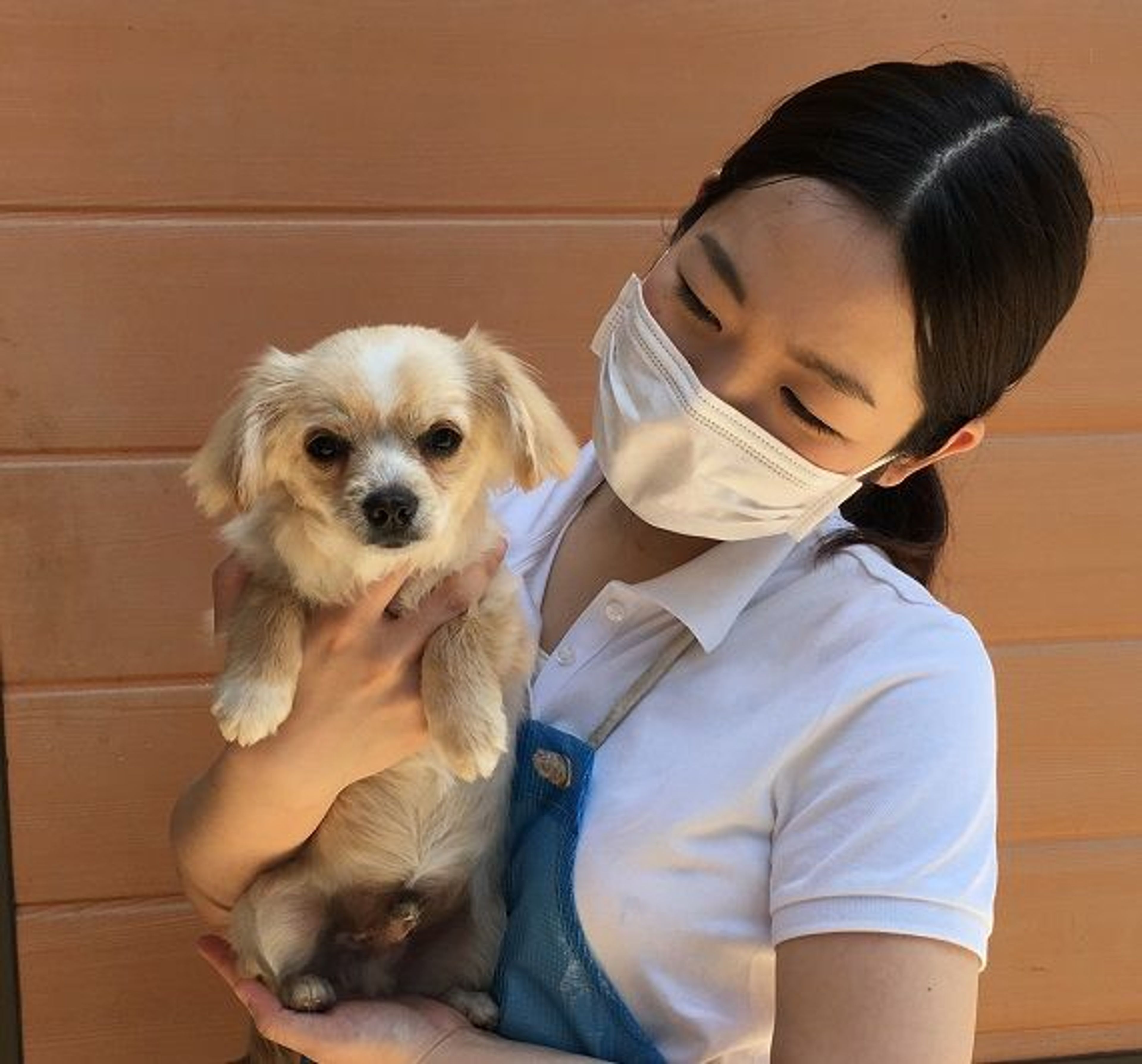 雑種（ミックス犬）・オスの里親募集の写真