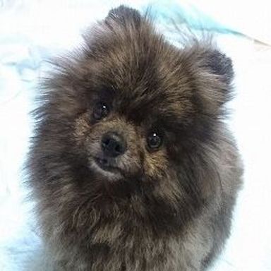 名無しちゃんの写真