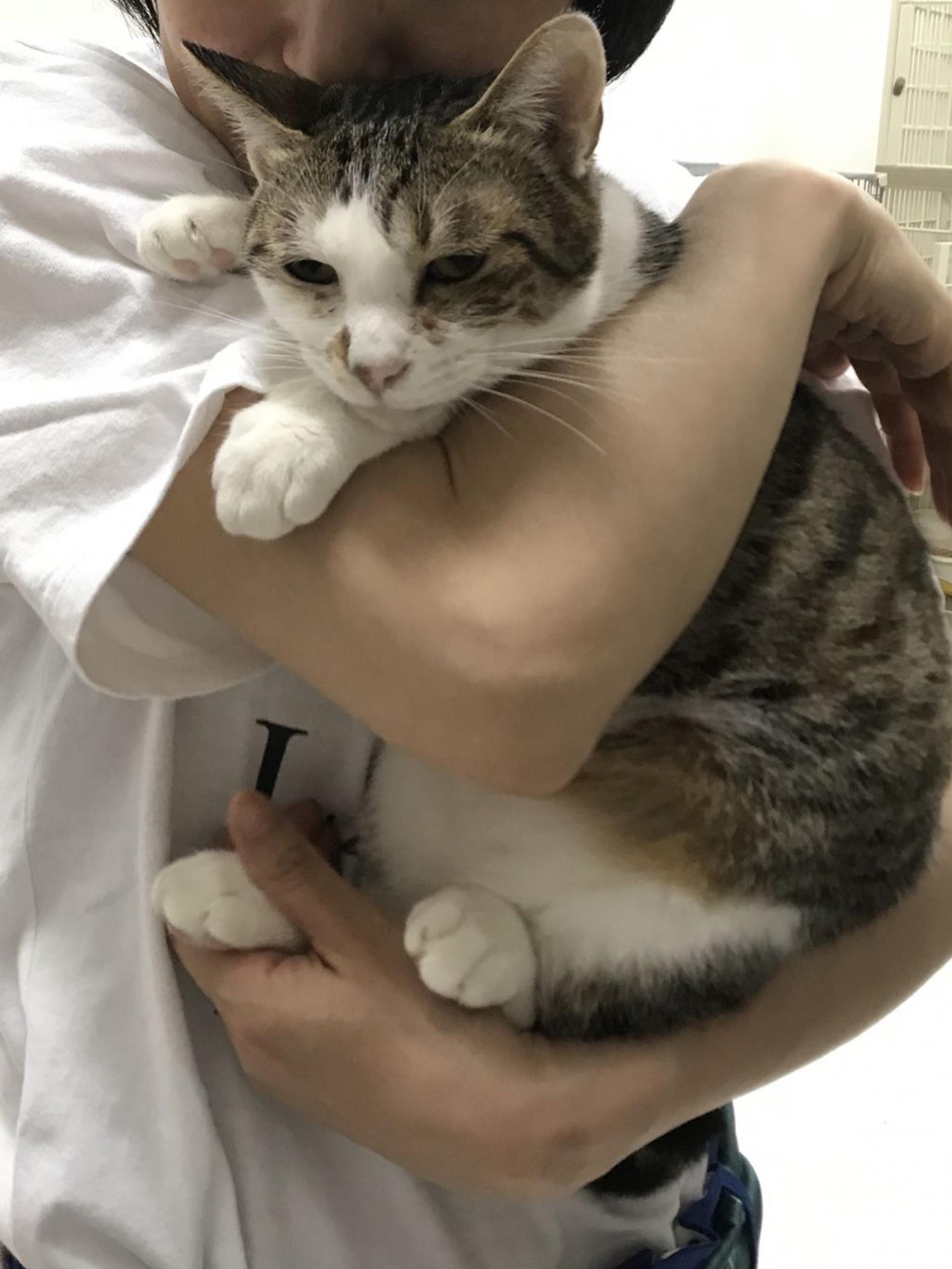 pet-image-6