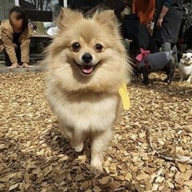 名無しちゃんの写真