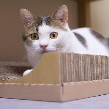 名無しちゃんの写真