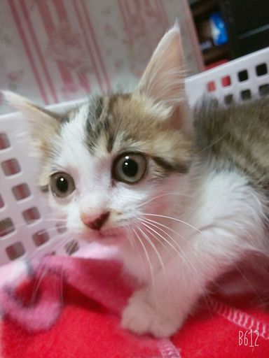 ゆうなちゃんの写真