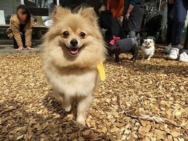 名無しちゃんの写真