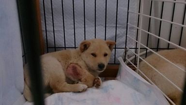 名無しちゃんの写真