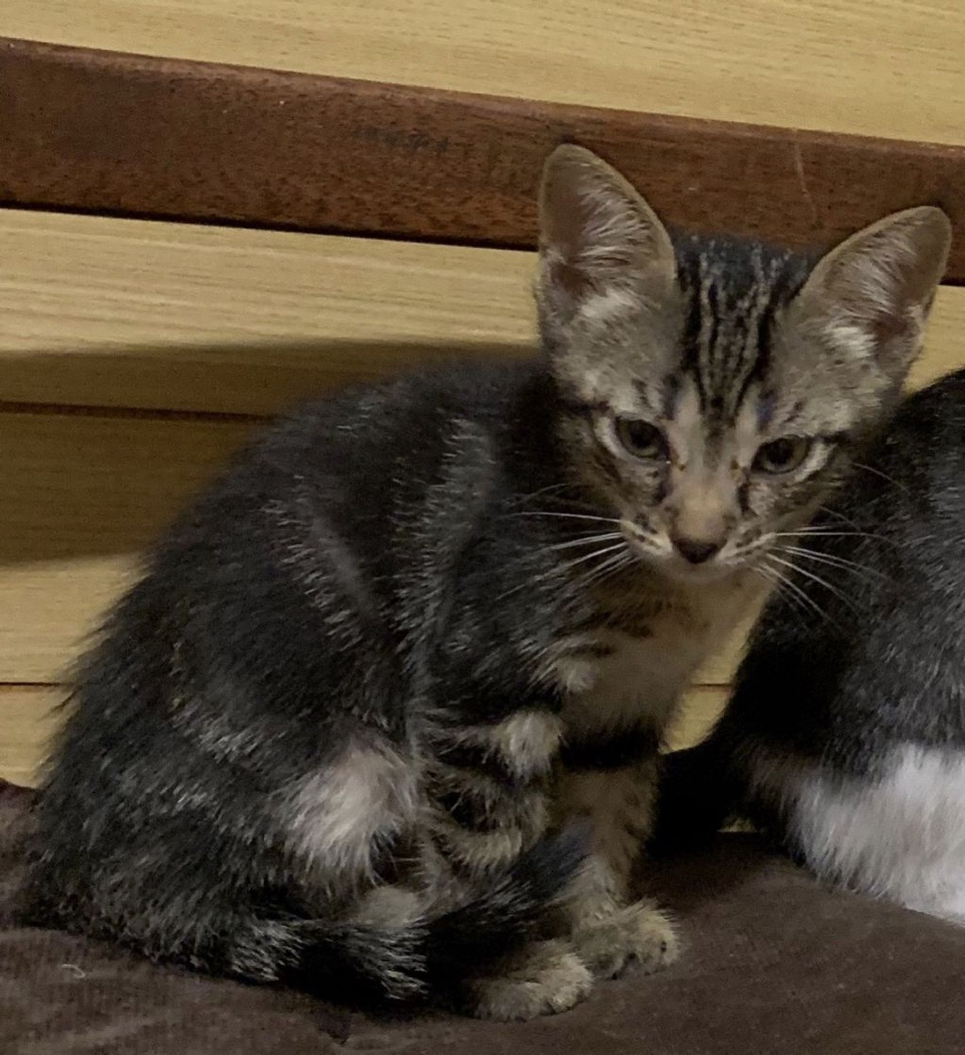 thumbnail-7