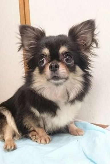 名無しちゃんの写真
