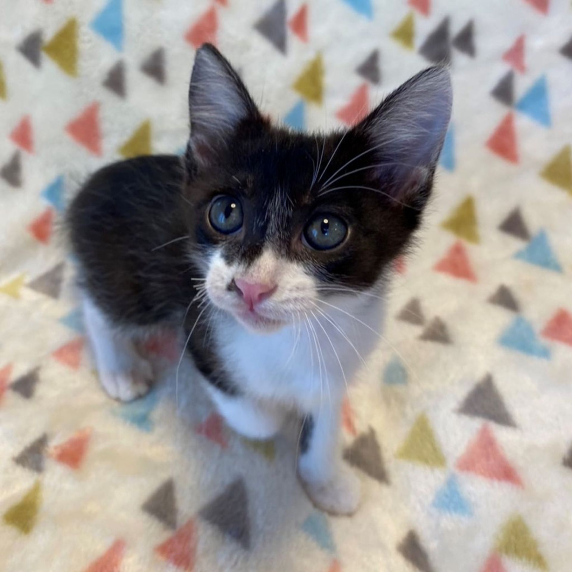 thumbnail-3