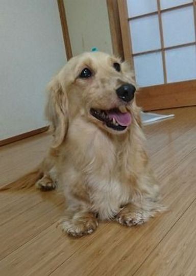 名無しちゃんの写真