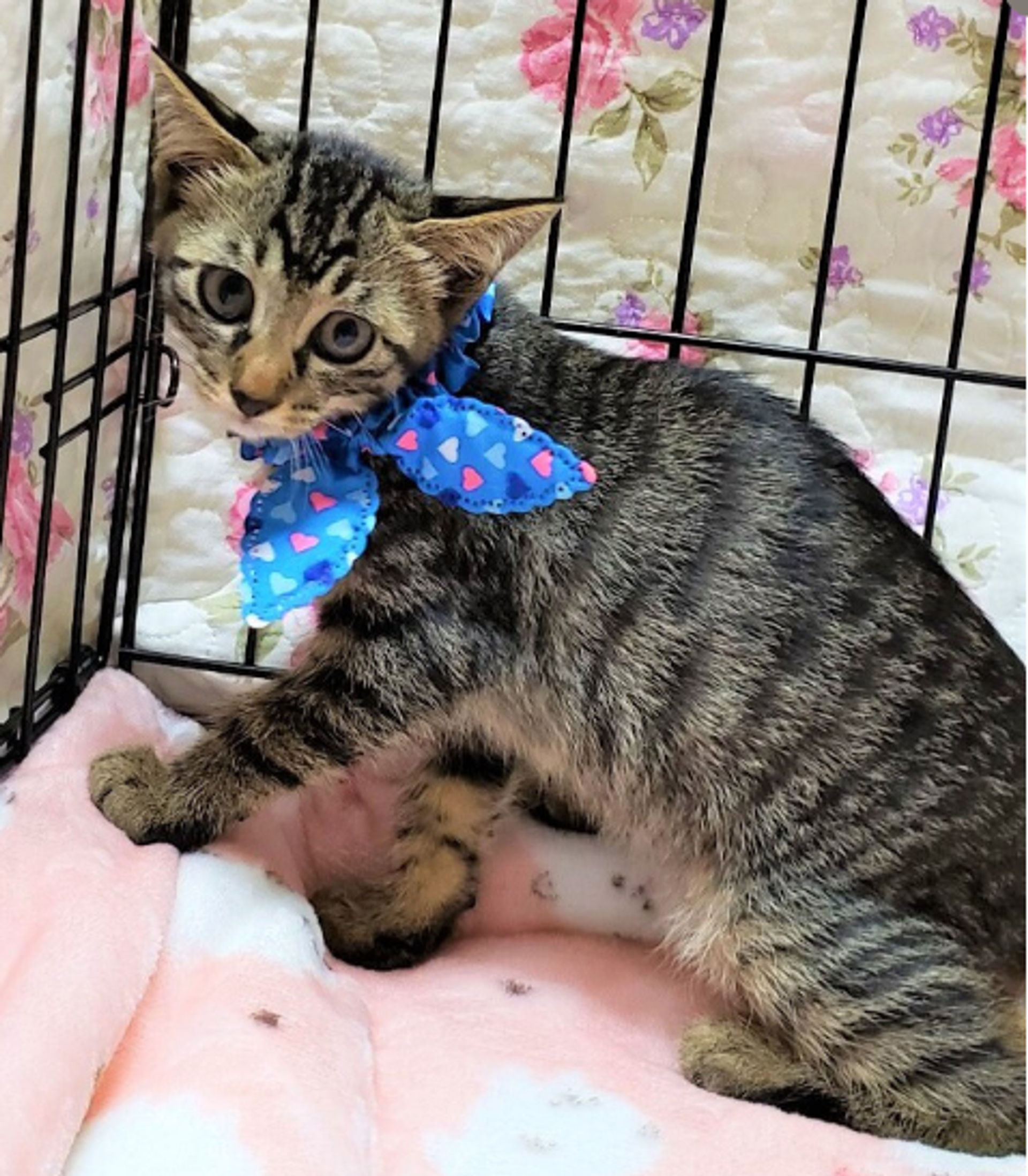 thumbnail-3