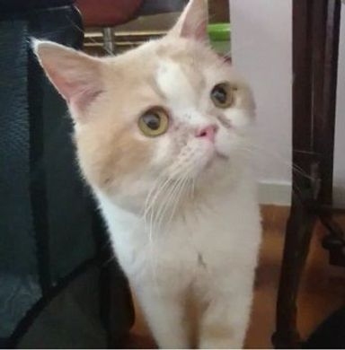 じゃらんの写真