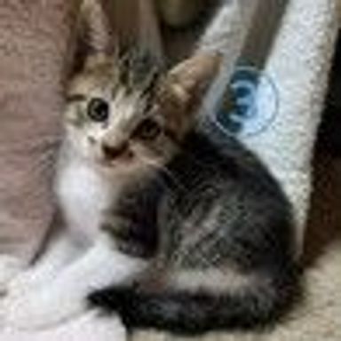 3番ちゃんの写真