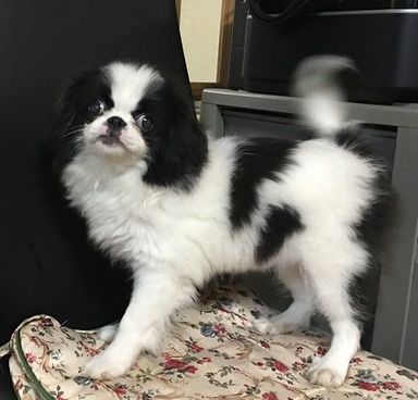 名無しちゃん