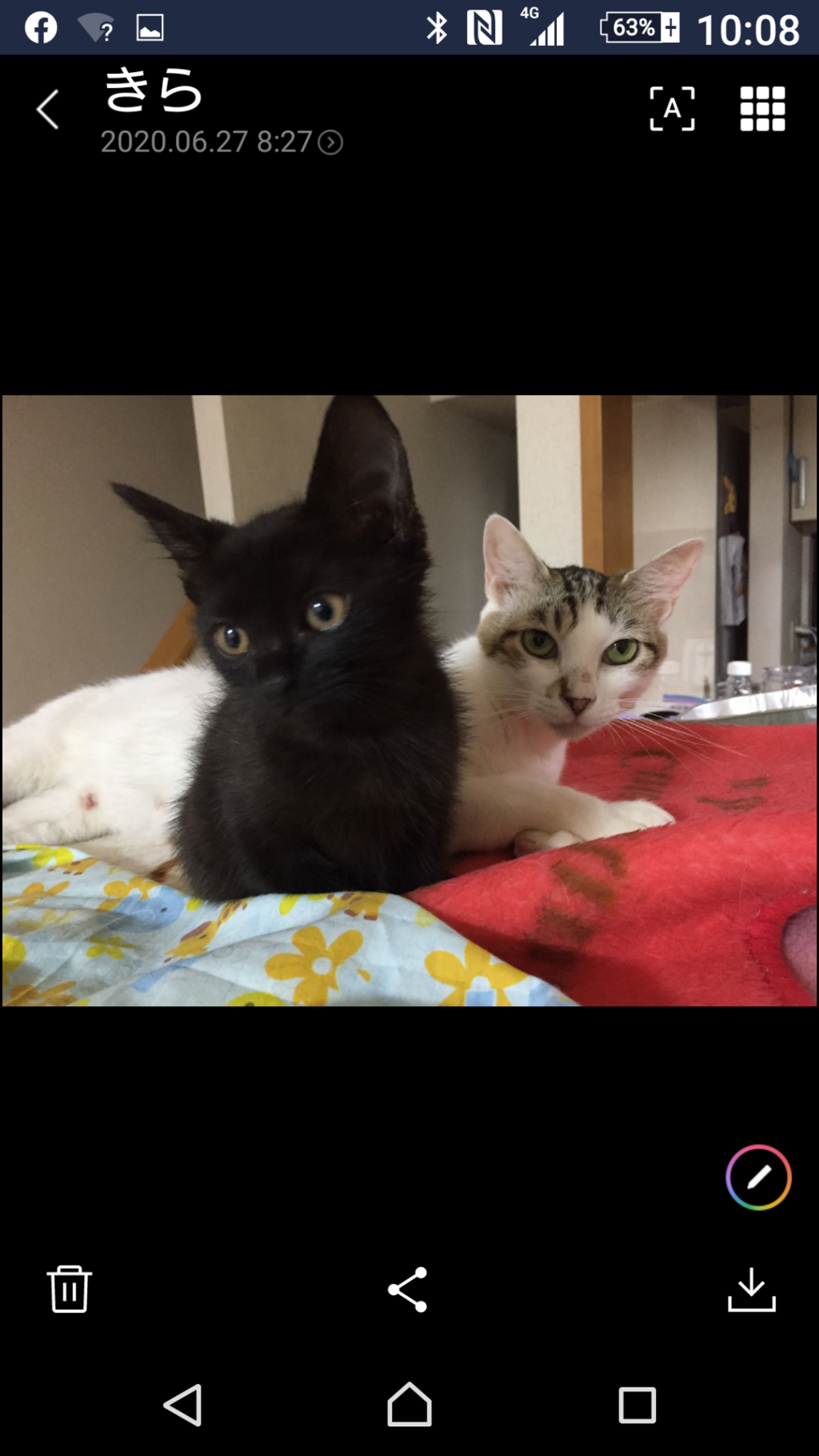 pet-image-3