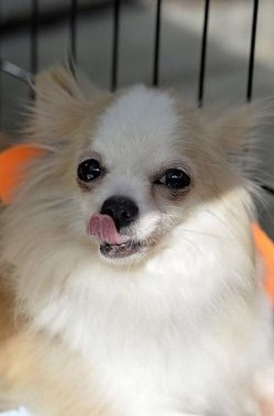 名無しちゃんの写真