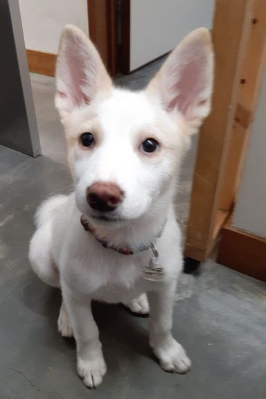 Kira