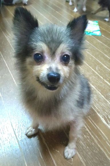 うめちゃん