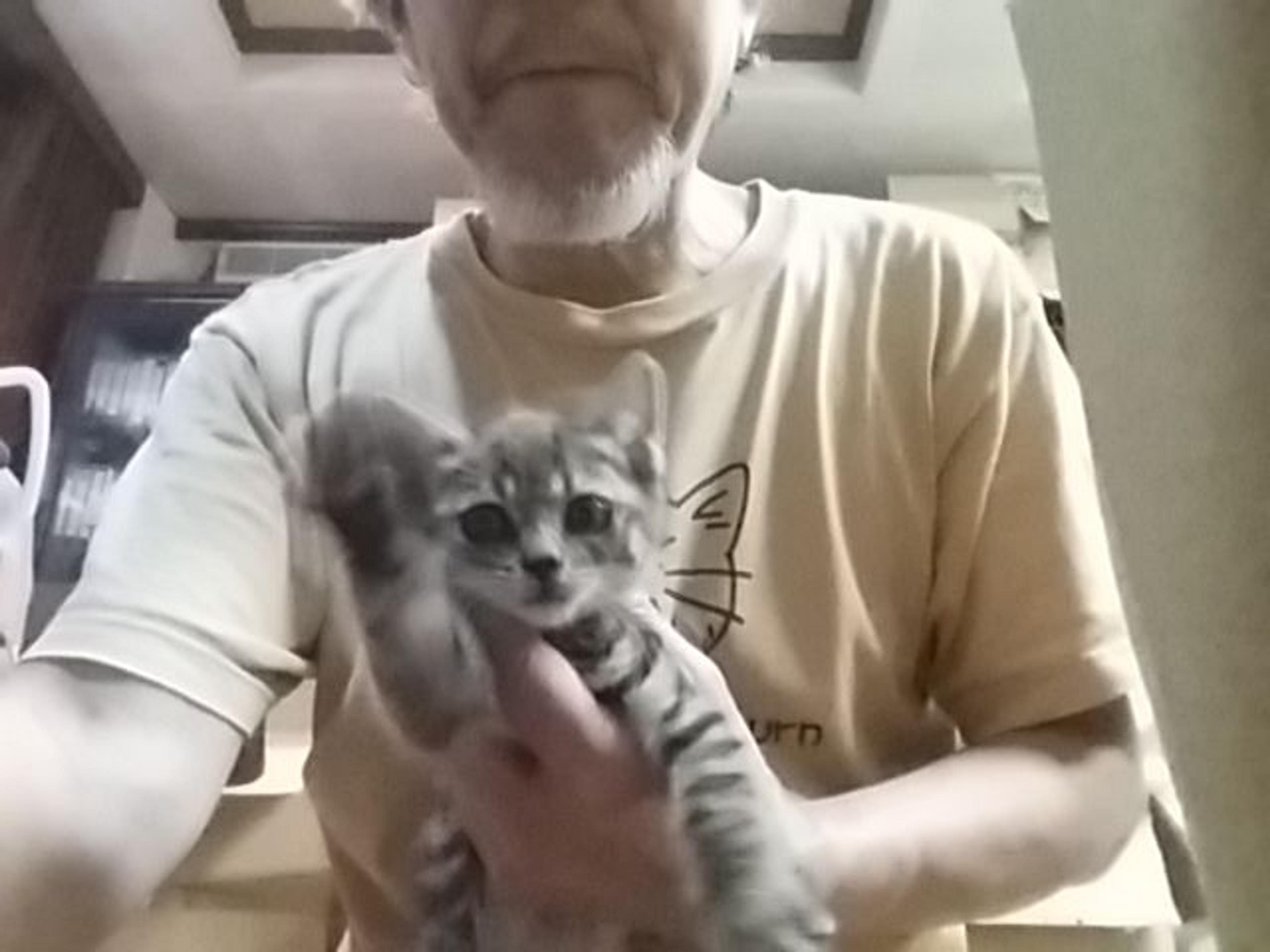 pet-image-2