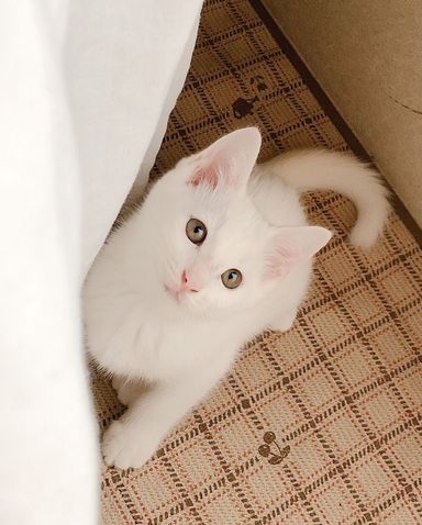 ゆきの写真