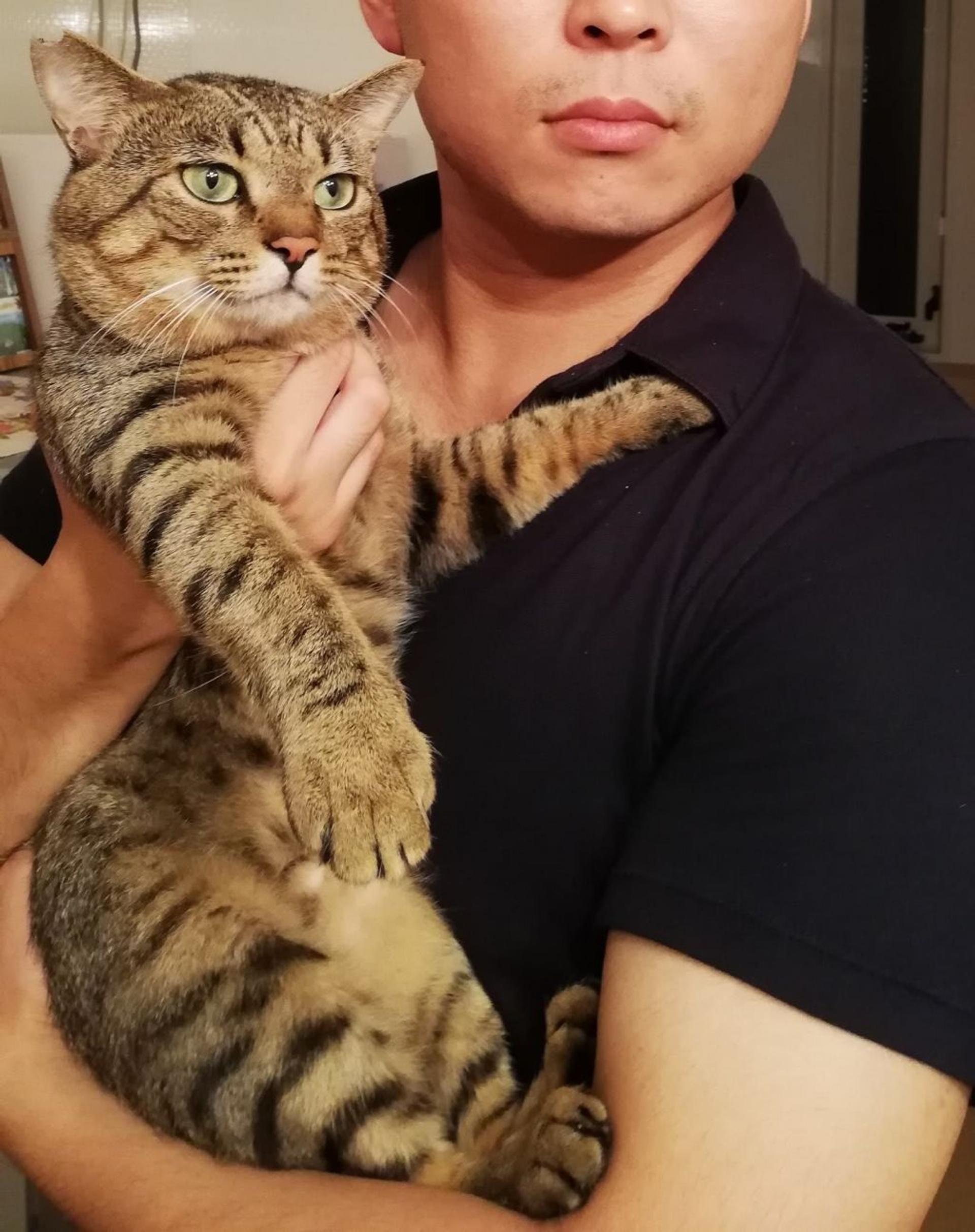 pet-image-5