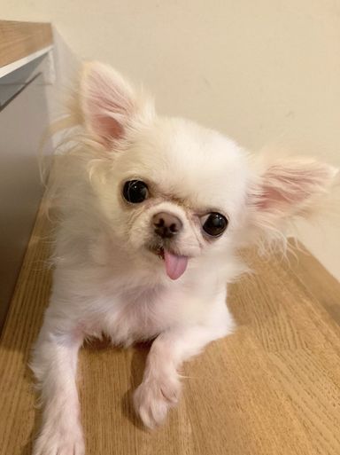 ペコちゃん