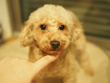 みそらの写真