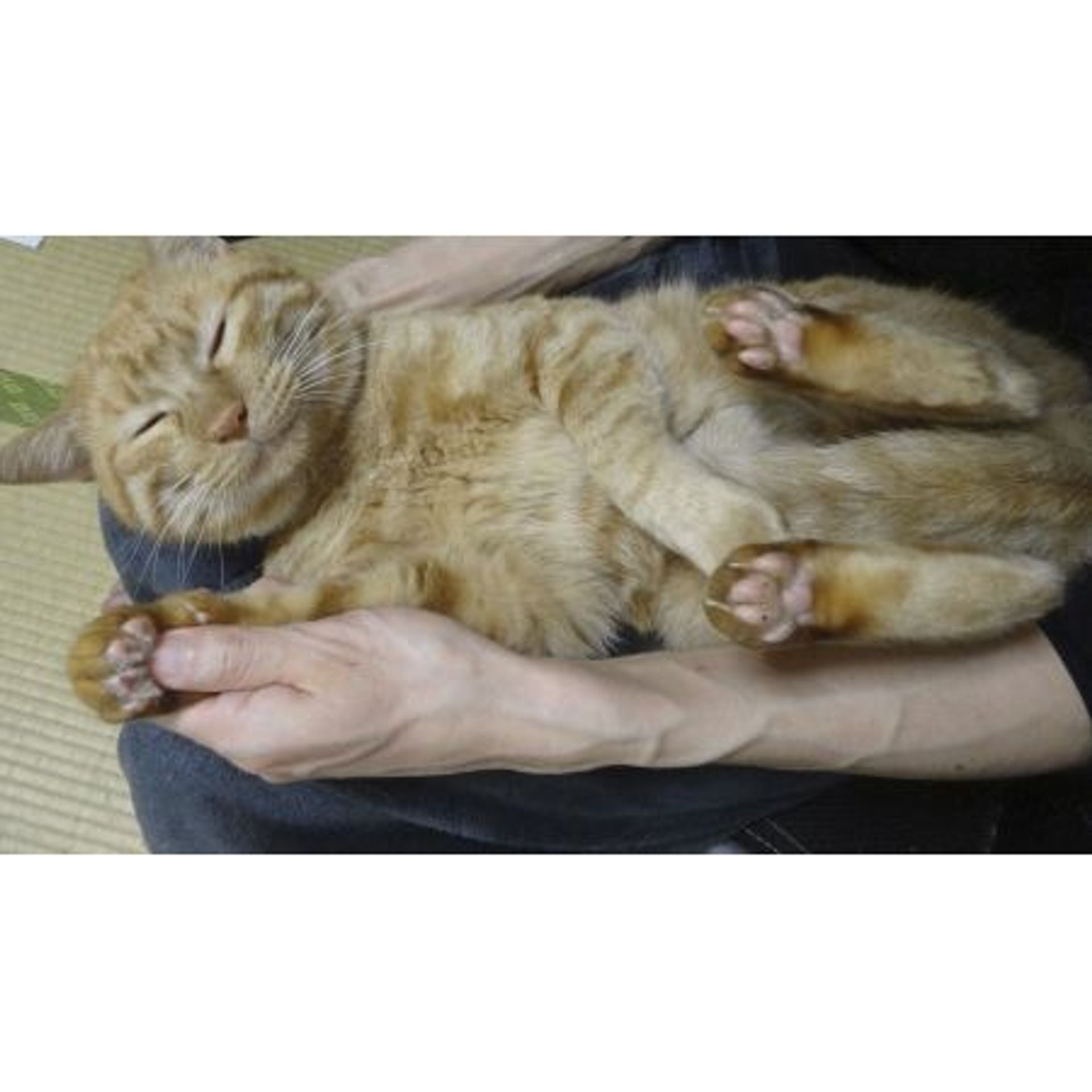 thumbnail-9