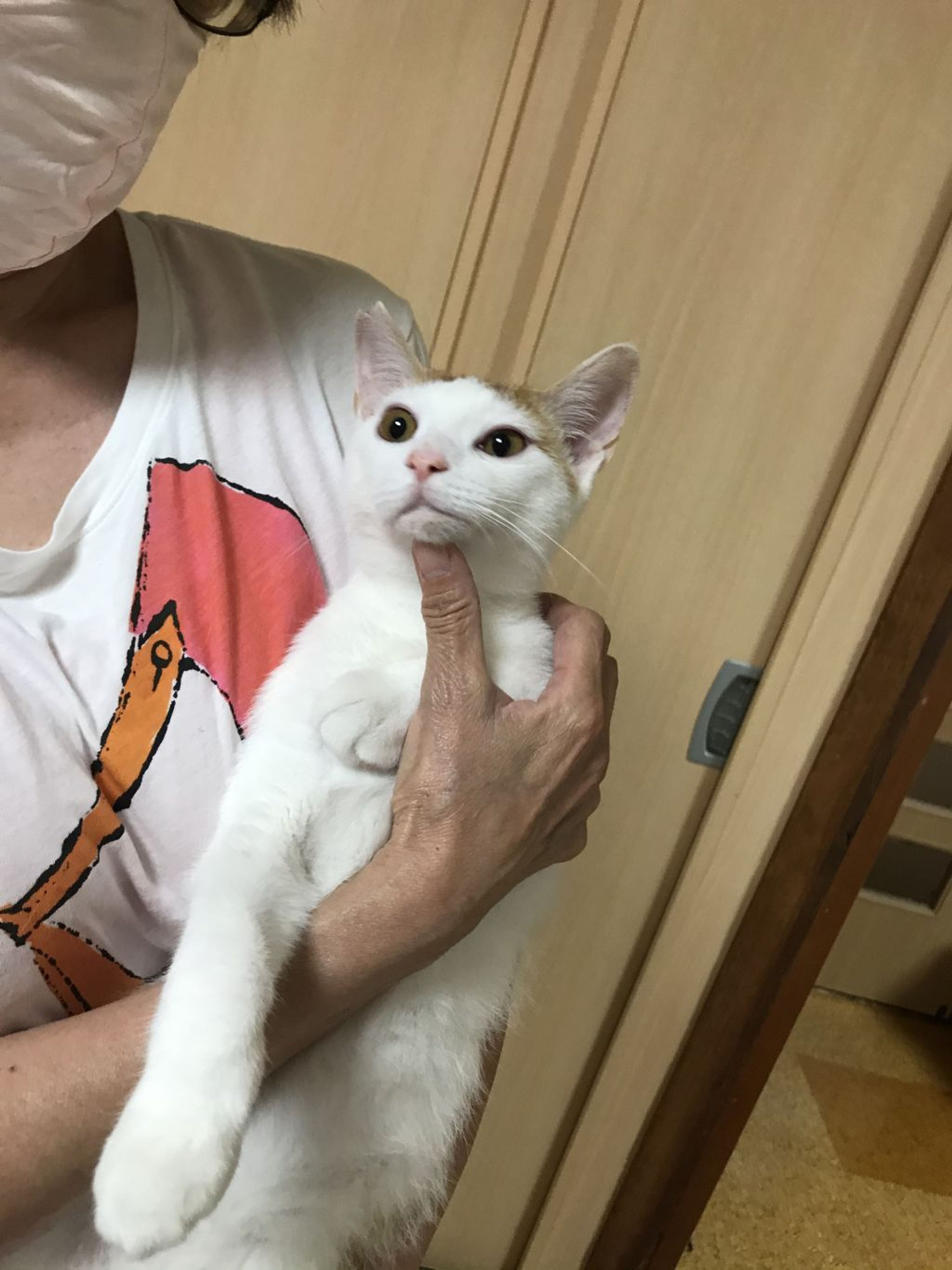 pet-image-4