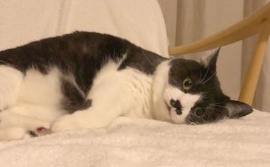 はなこの写真