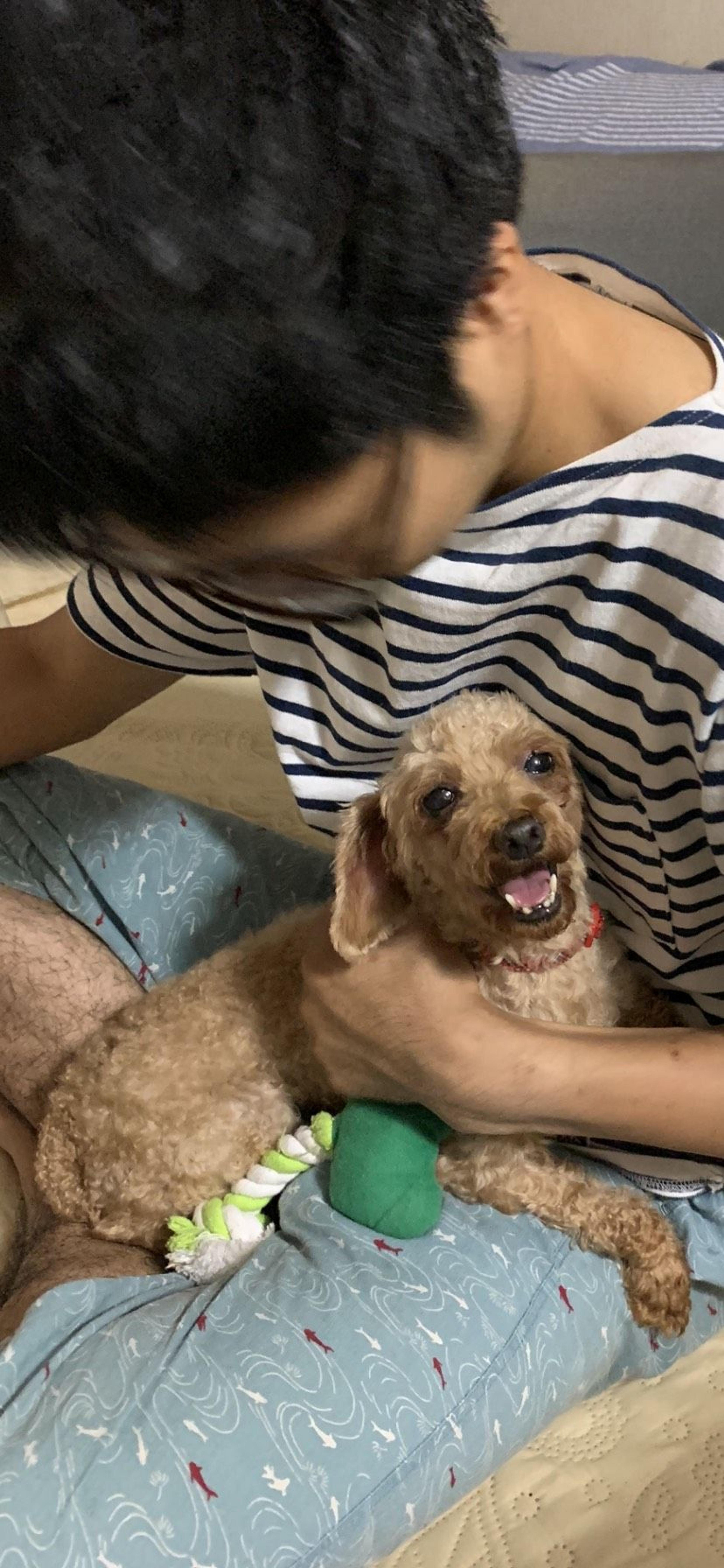 pet-image-8