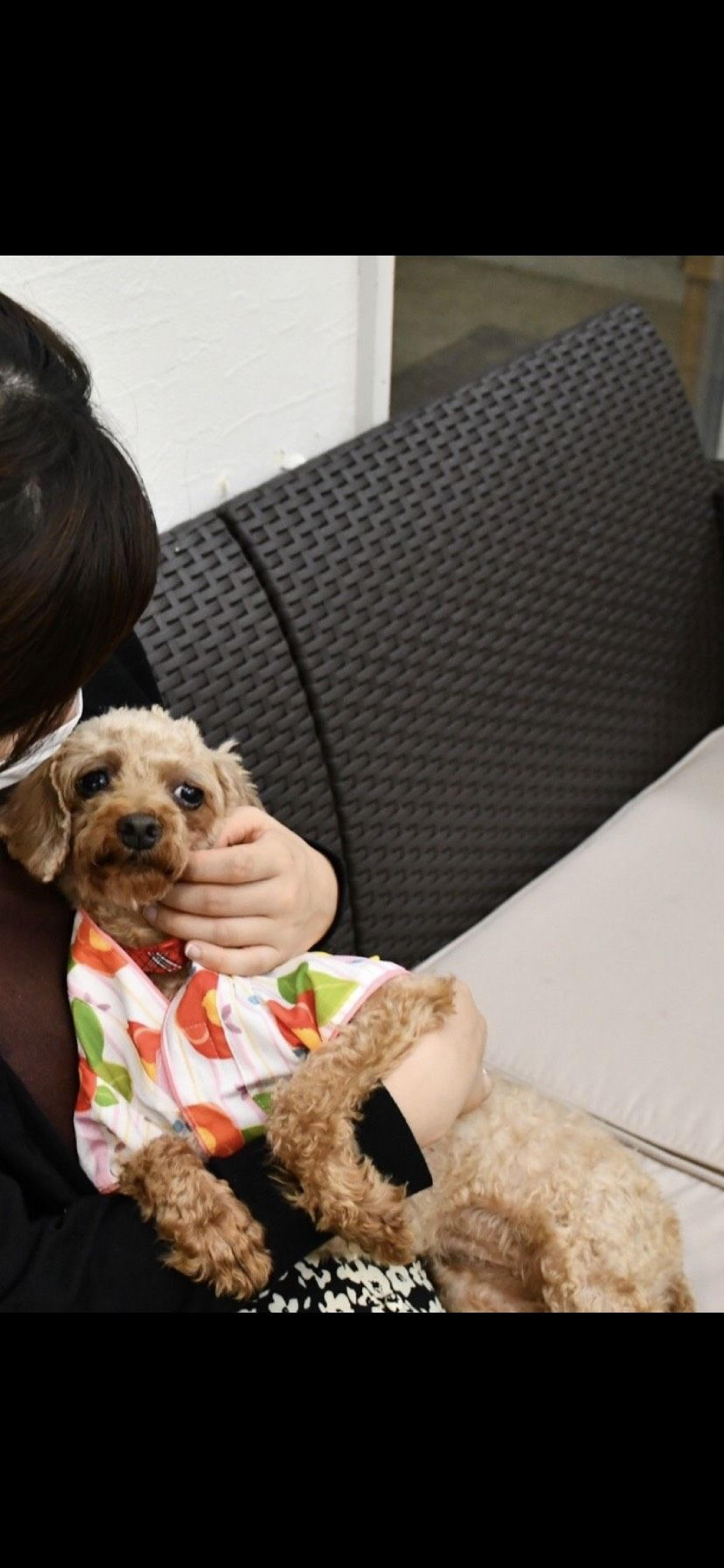 pet-image-10